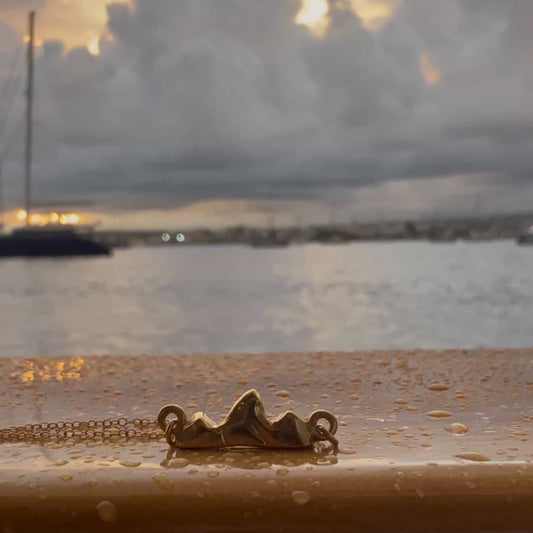 Small teton necklace on a surface with the ocean in the background