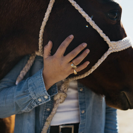 Reverse Triangles Ring
